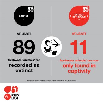 Freshwater infographic 2