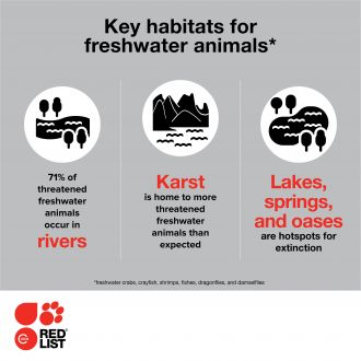Freshwater infographic 4