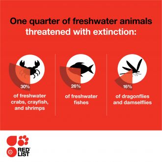 Freshwater infographic 1 