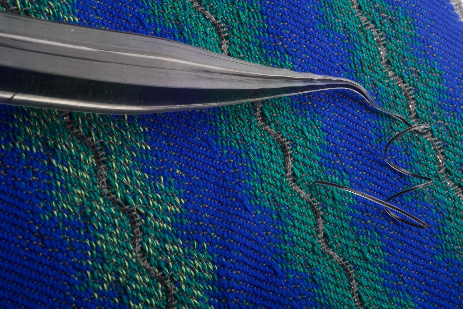 Fink Lab MIT/Elizabeth Meiklejohn RISD/Greg Hren