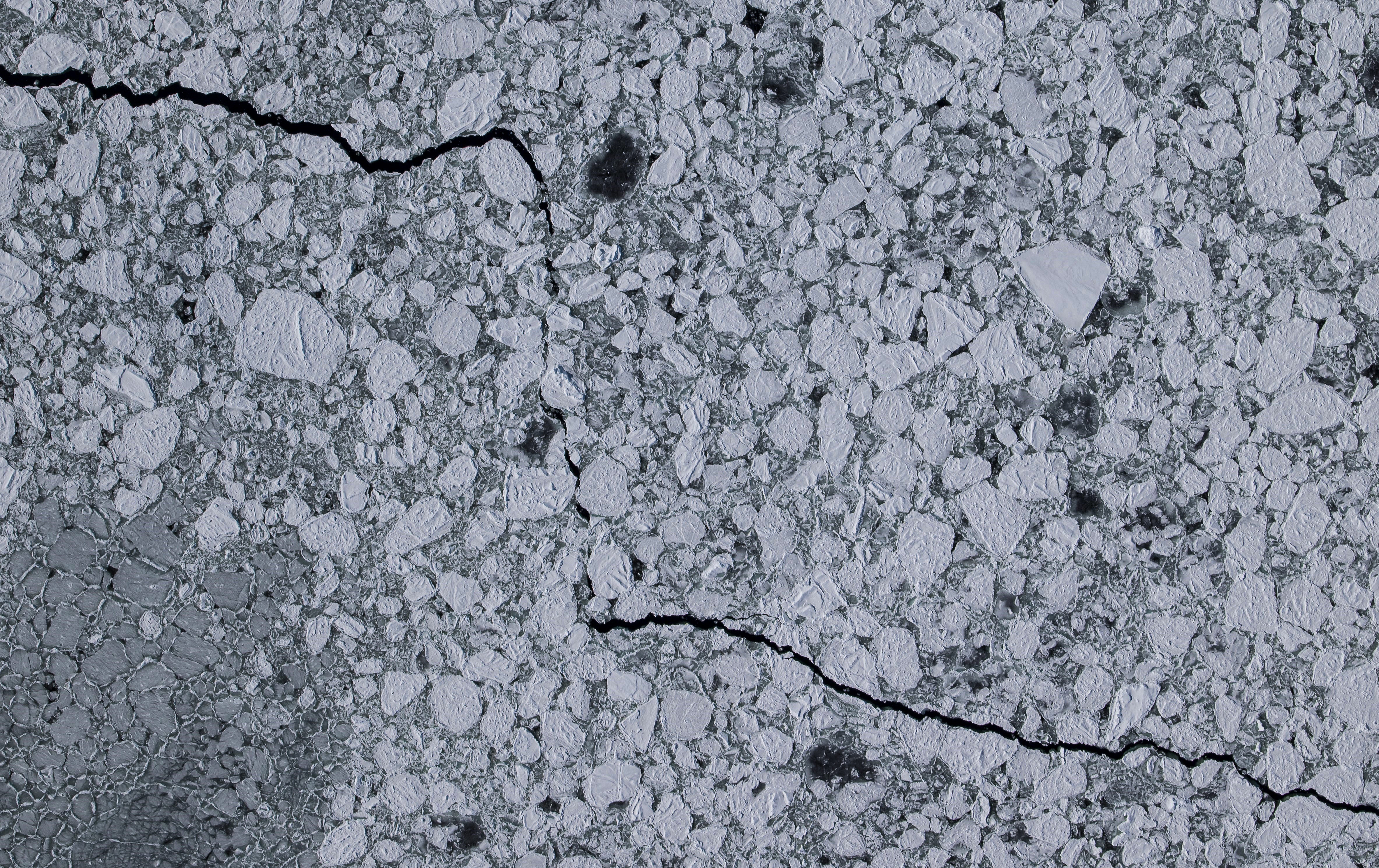 photo: Kym Newbery/AAD