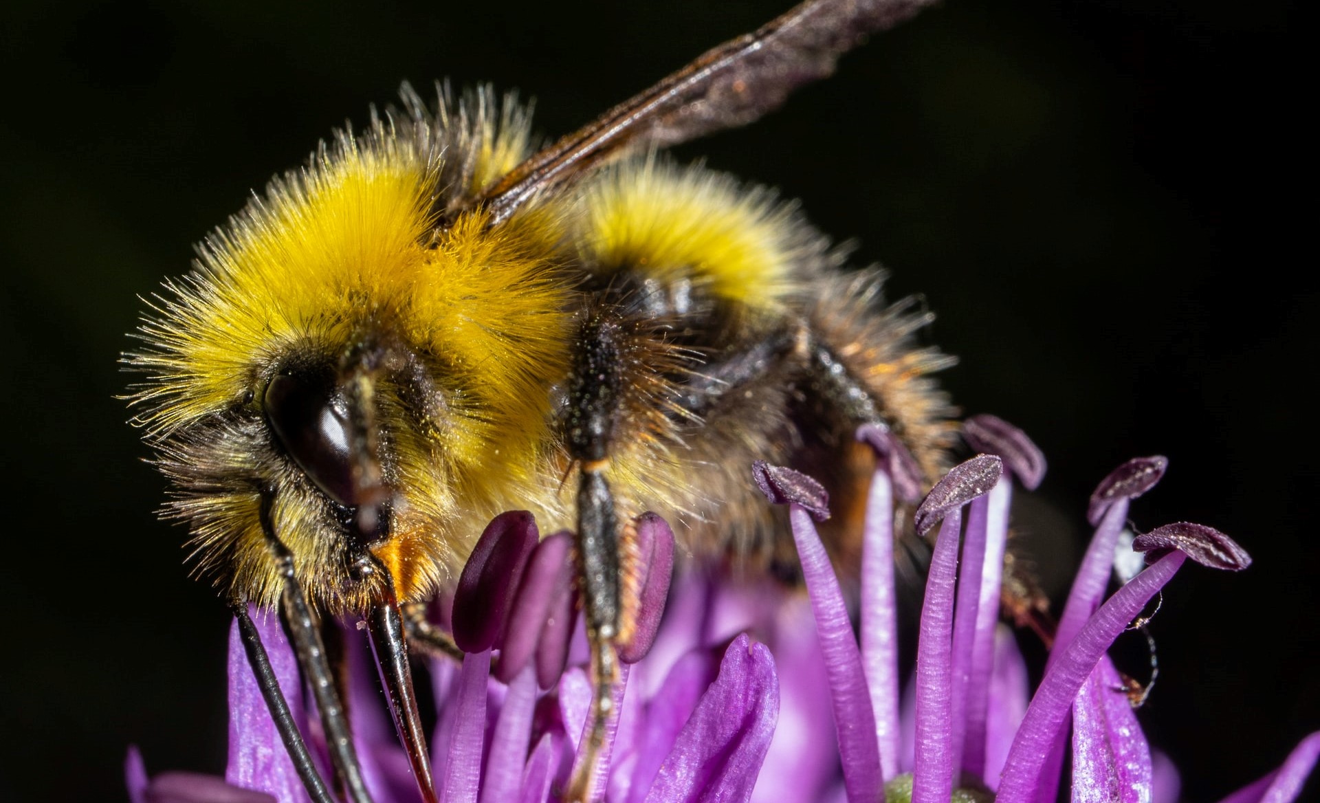 Photo by Kevin Grieve on Unsplash