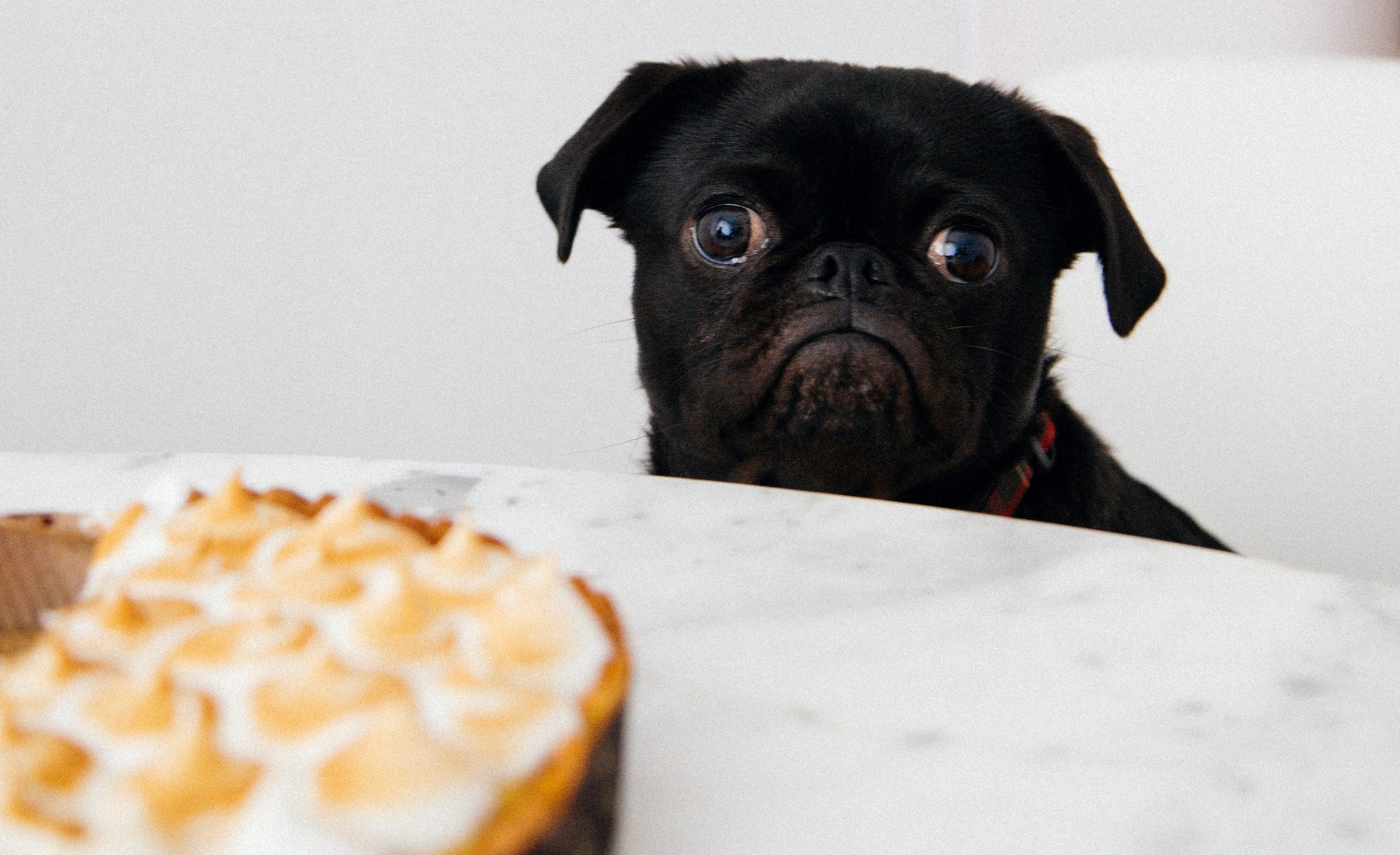 Photo by charlesdeluvio on Unsplash