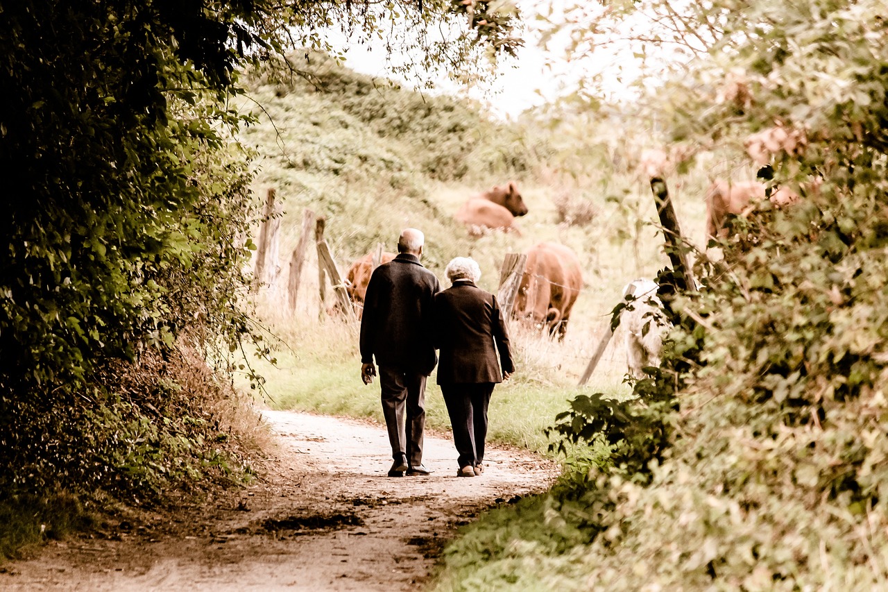 CC-0. https://pixabay.com/photos/elderly-couple-walking-trail-2914879/