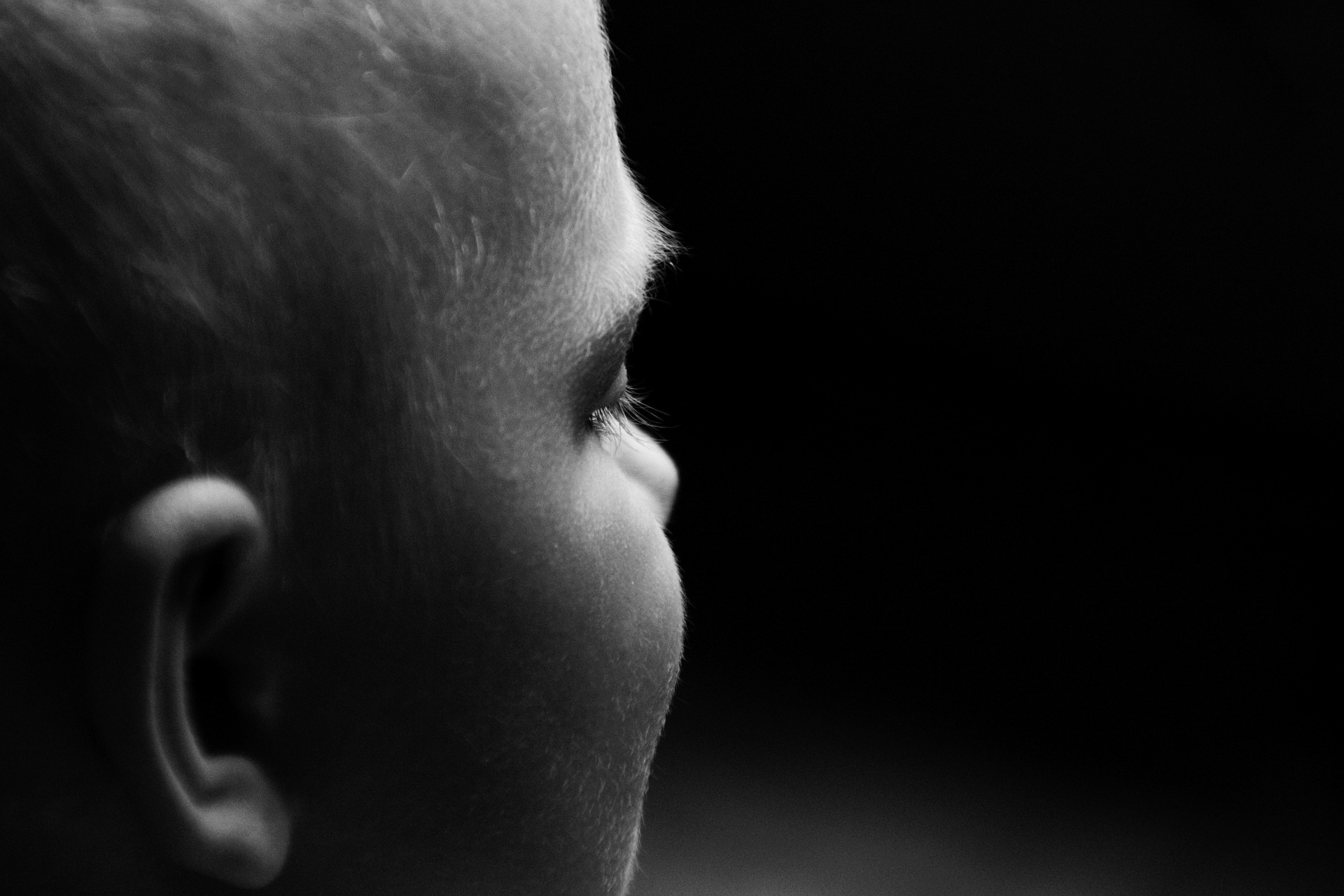 Image by Holger Langmaier from Pixabay