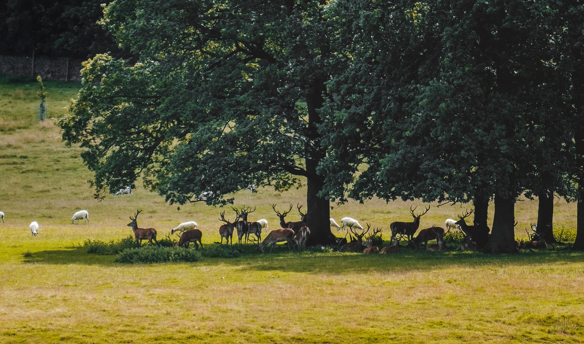 Photo by Nikolay Dimitrov on Unsplash