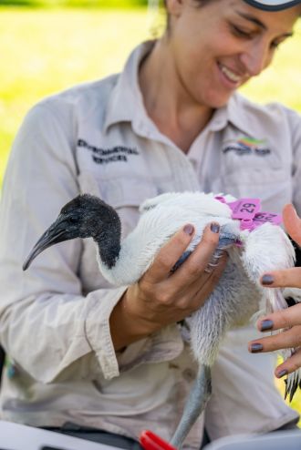 UniSC Senior Animal Ecology Lecturer Dr Dominique Potvin