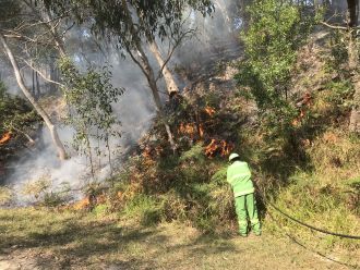 Cultural burn on North Stradbroke Island-2