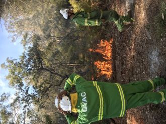 Cultural burn on North Stradbroke Island-4