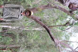 UniSC student Asitha tracks koalas Dec 2021-North Stradbroke Is-1