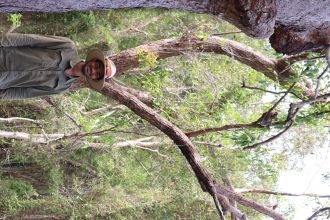 UniSC student Asitha tracks koalas Dec 2021-North Stradbroke Is-2