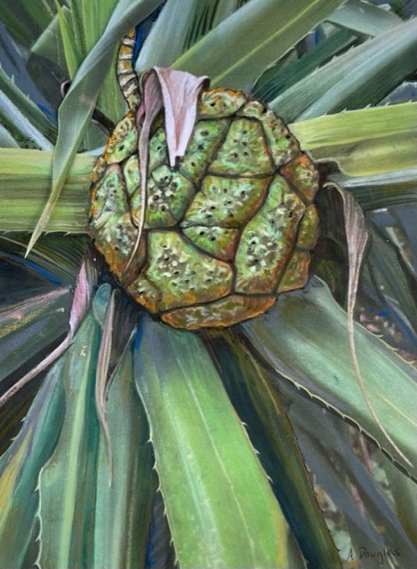 Pandanus estellae reconstruction Artist Alison Douglas