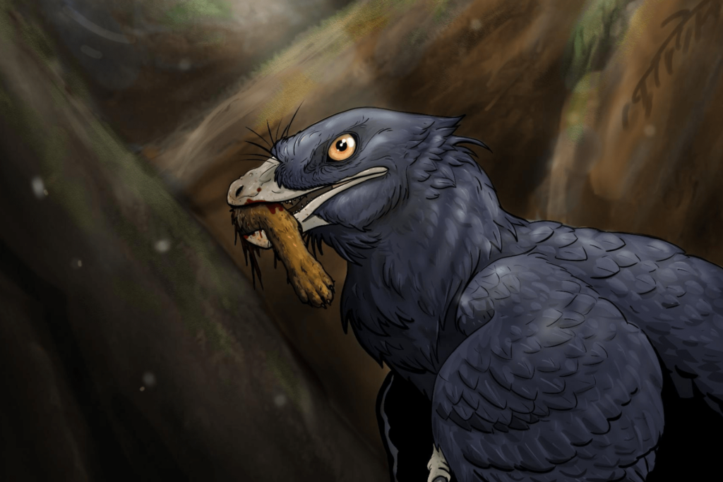 Life reconstruction of Microraptor eating the foot of a small mammal. Artwork courtesy of Ralph Attanasia III, who retains the copyright on these images. These may be used in any article in association with this story. 