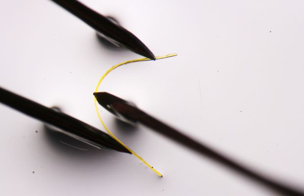 The University of Queensland