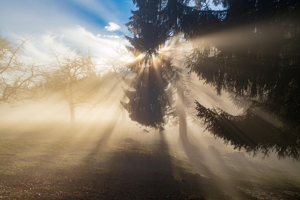 Image by Marcel from Pixabay