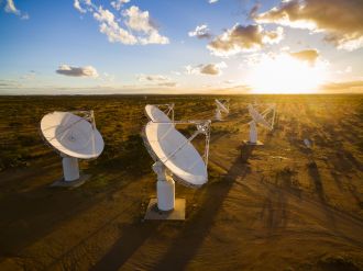 ASKAP antennas in early sunlight.