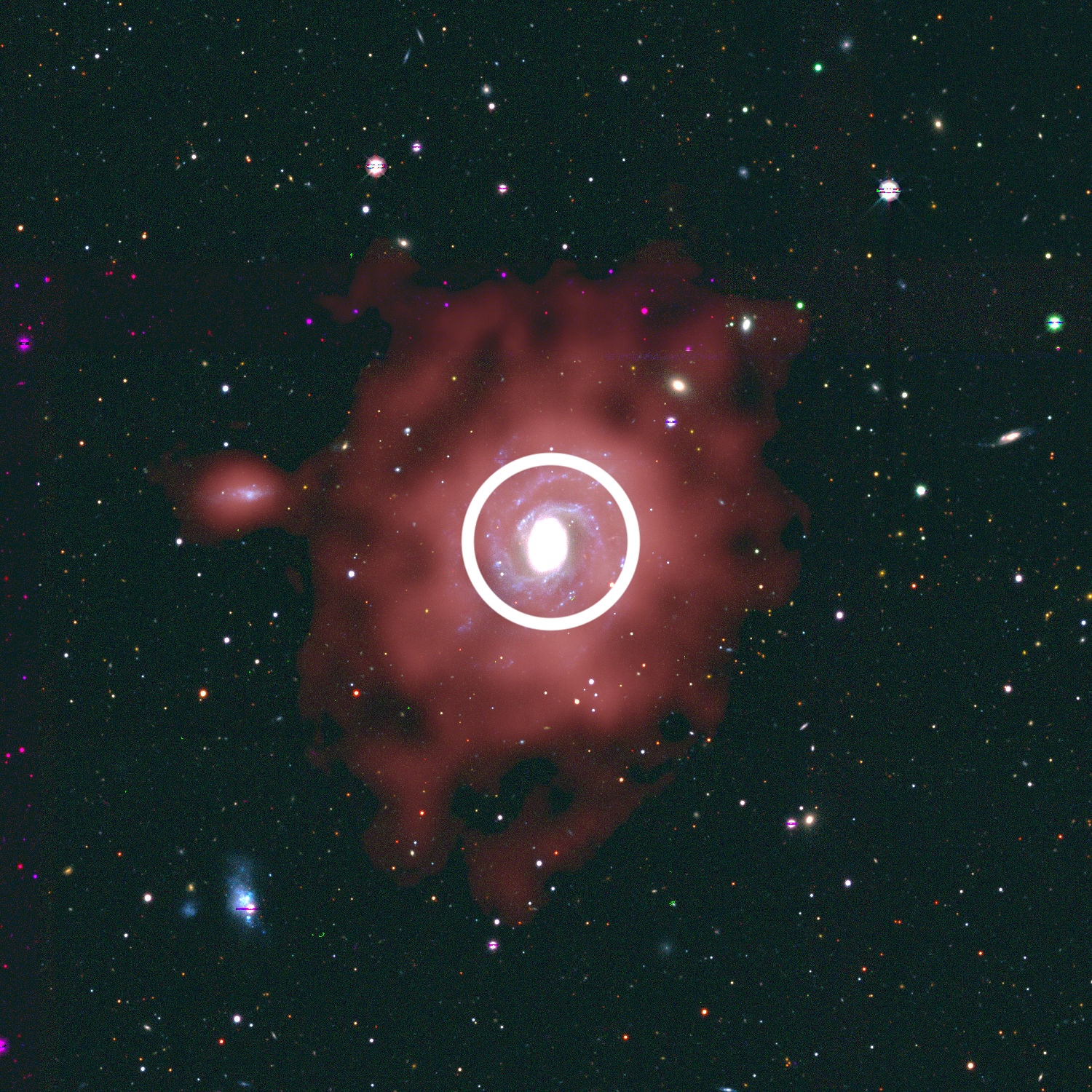 Description:  The red shade shows the atomic hydrogen gas content of the galaxy, overlaid on the optical image. The atomic gas that is outside the white circle does not contribute significantly to new star formation. Credit: Legacy Surveys / D. Lang (Perimeter Institute)/  T. Westmeier - ICRAR