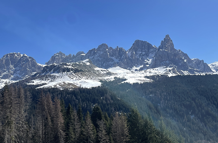 Study location in the Italian Dolomites_credit Monica Gagliano