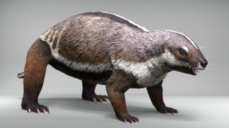 Life-like reconstruction of Adalatherium, the ‘crazy beast’ 