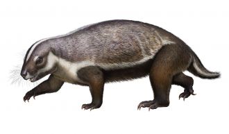 Image 2: