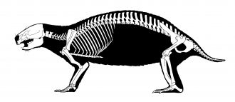 Image 3: