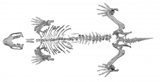 Image 4: