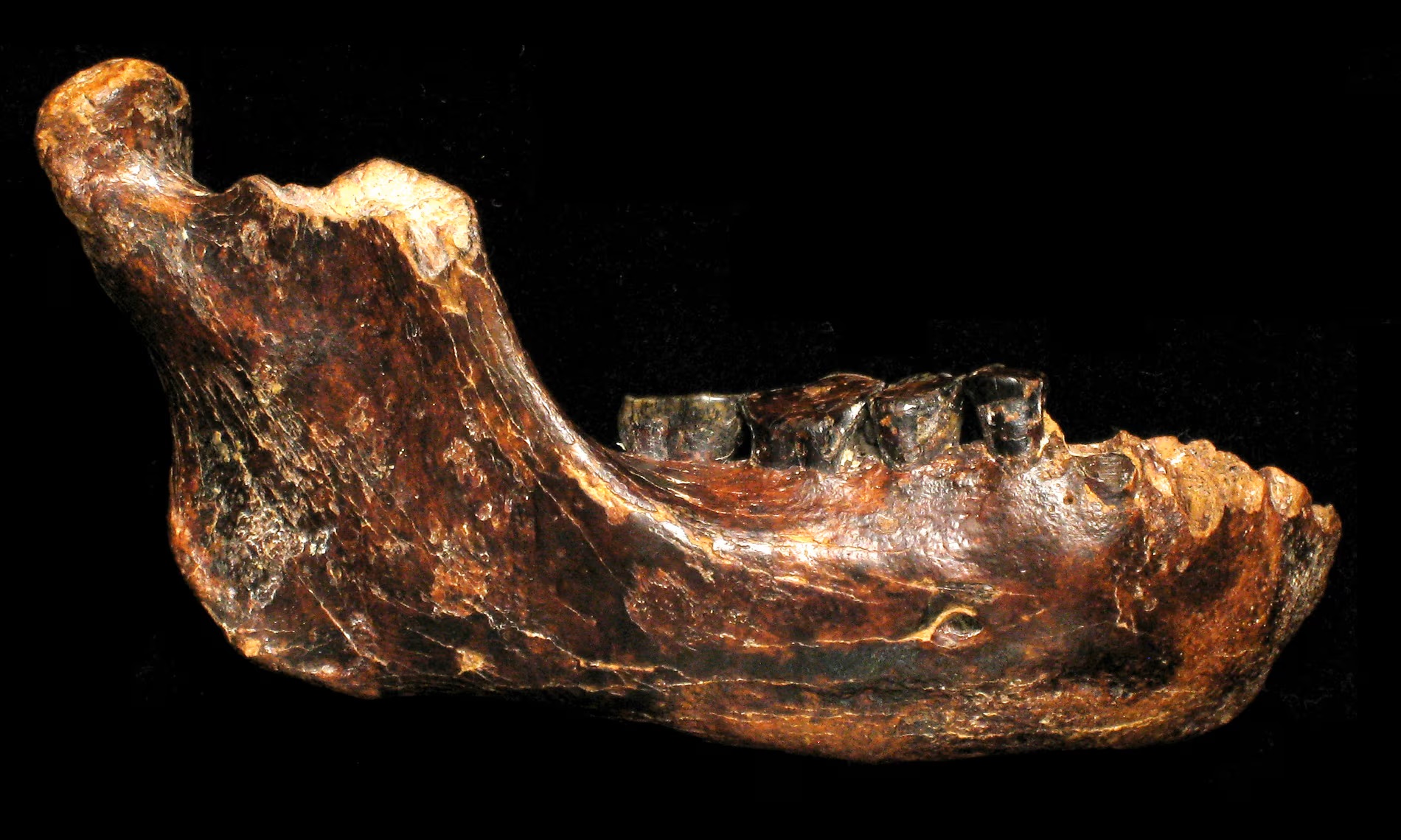 Credit: Yousuke Kaifu