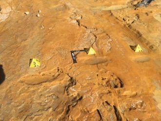 Neanderthal adult footprint