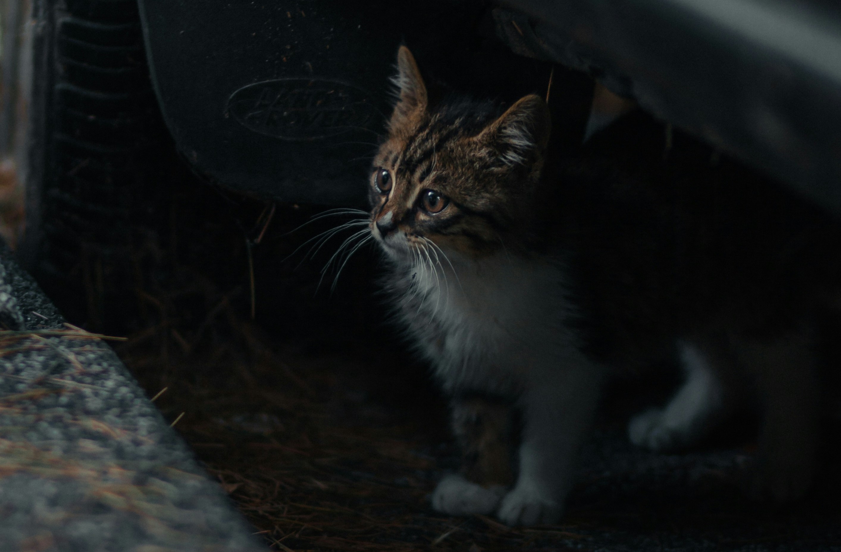 Photo by Tolga Ahmetler on Unsplash