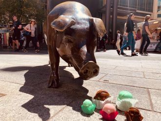 Truffles the pig with frog cakes