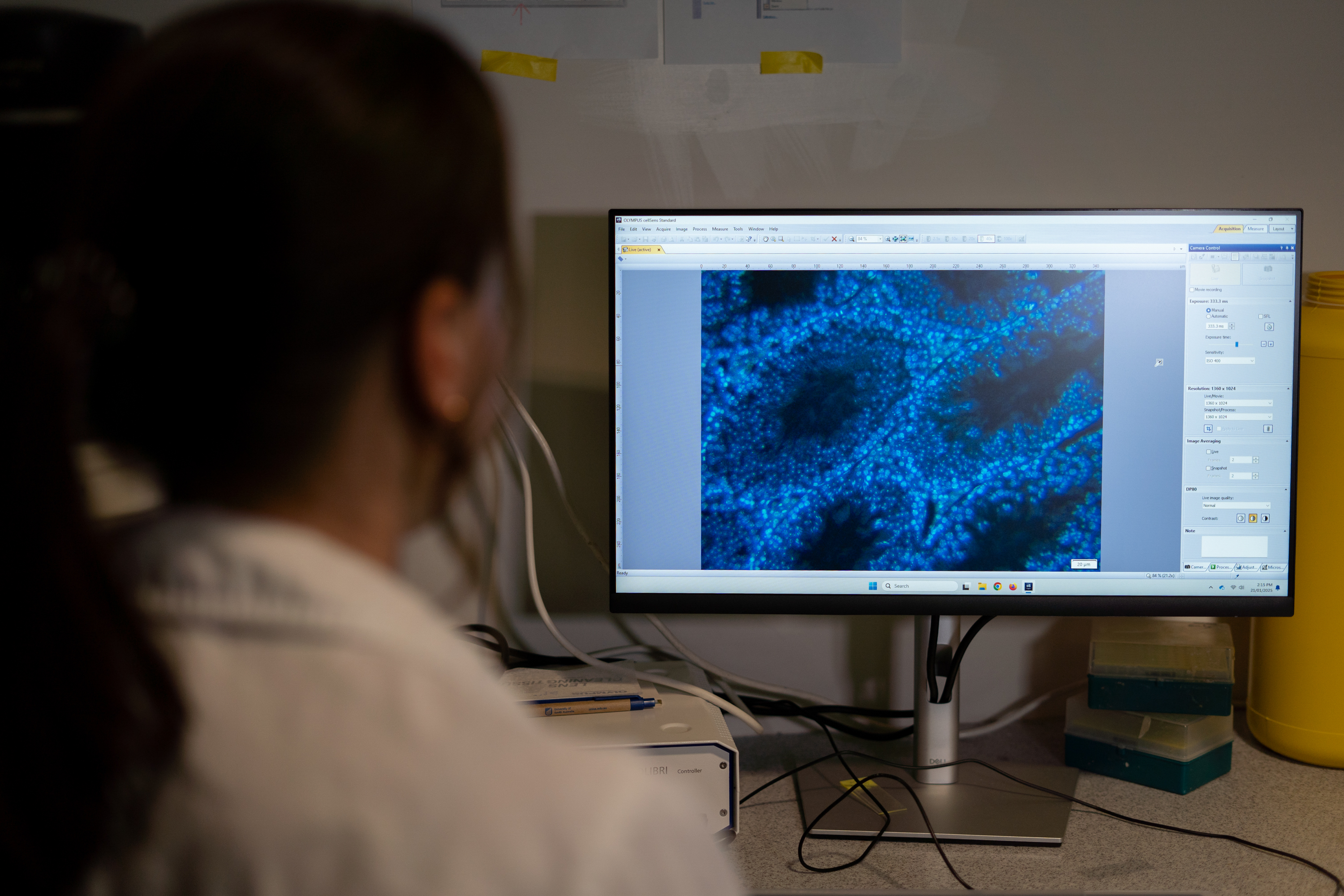 Dr Tessa Lord examining a sample under the microscope