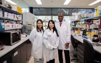 Fungi blaze a trail to fireproof cladding