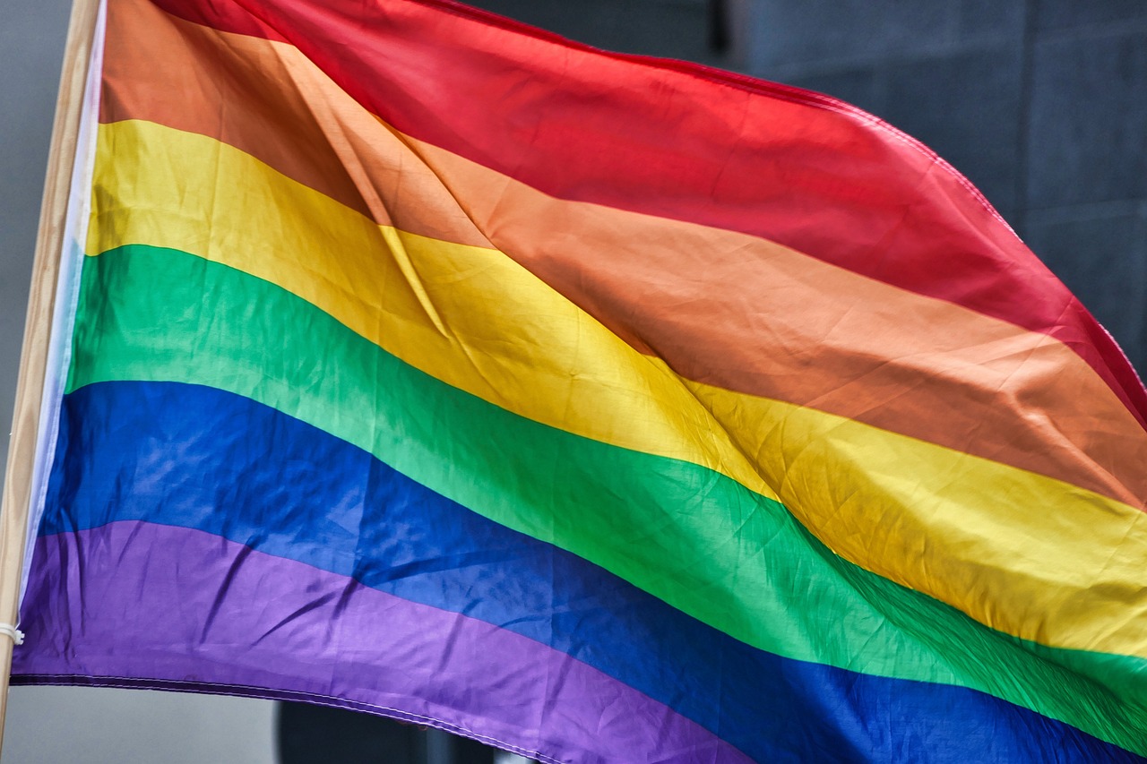 CC-0. https://pixabay.com/photos/pride-flag-pride-homosexual-love-4426296/
