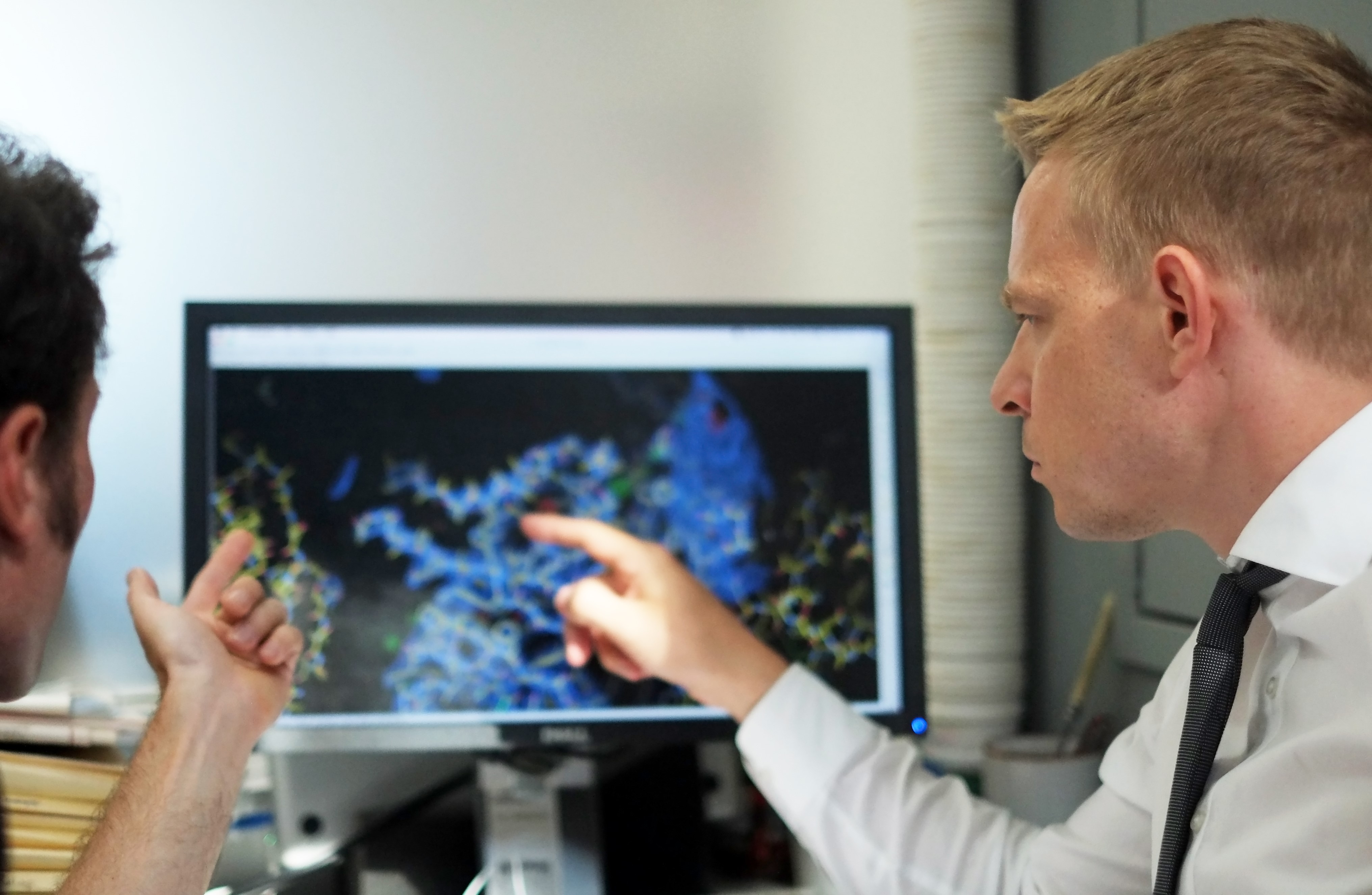 Professor Daniel Christ (right) looks at the structure of antibody molecule. Credit: Garvan Institute of Medical Research