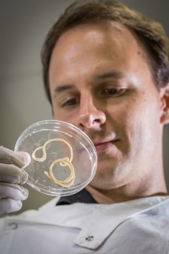 Immunologist Dr Paul Giacomin