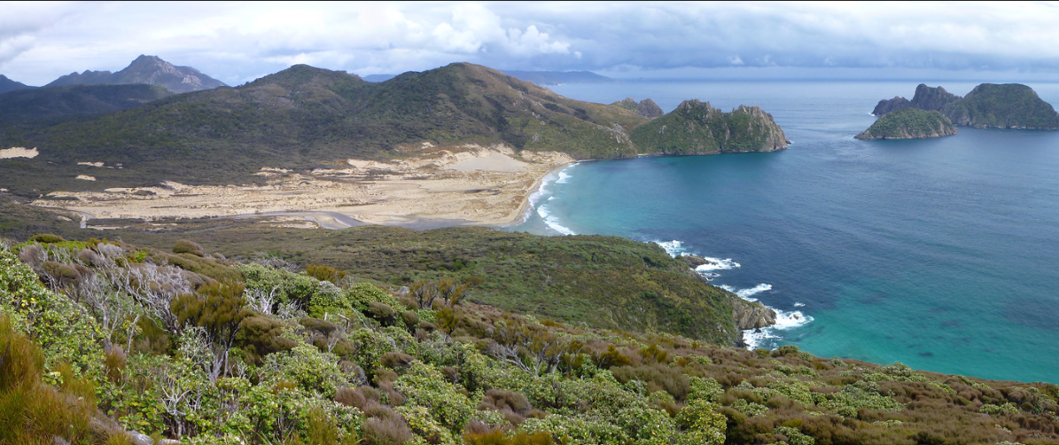 Credit: Andrew Purdam/Flickr - https://flickr.com/photos/apurdam/8349611406/