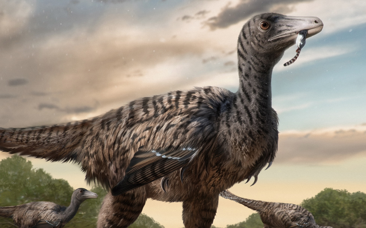 An illustrated reconstruction of a large raptor dinosaur. Credit: Yingliang.