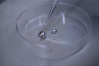 Animals and liquid metal robotics 1