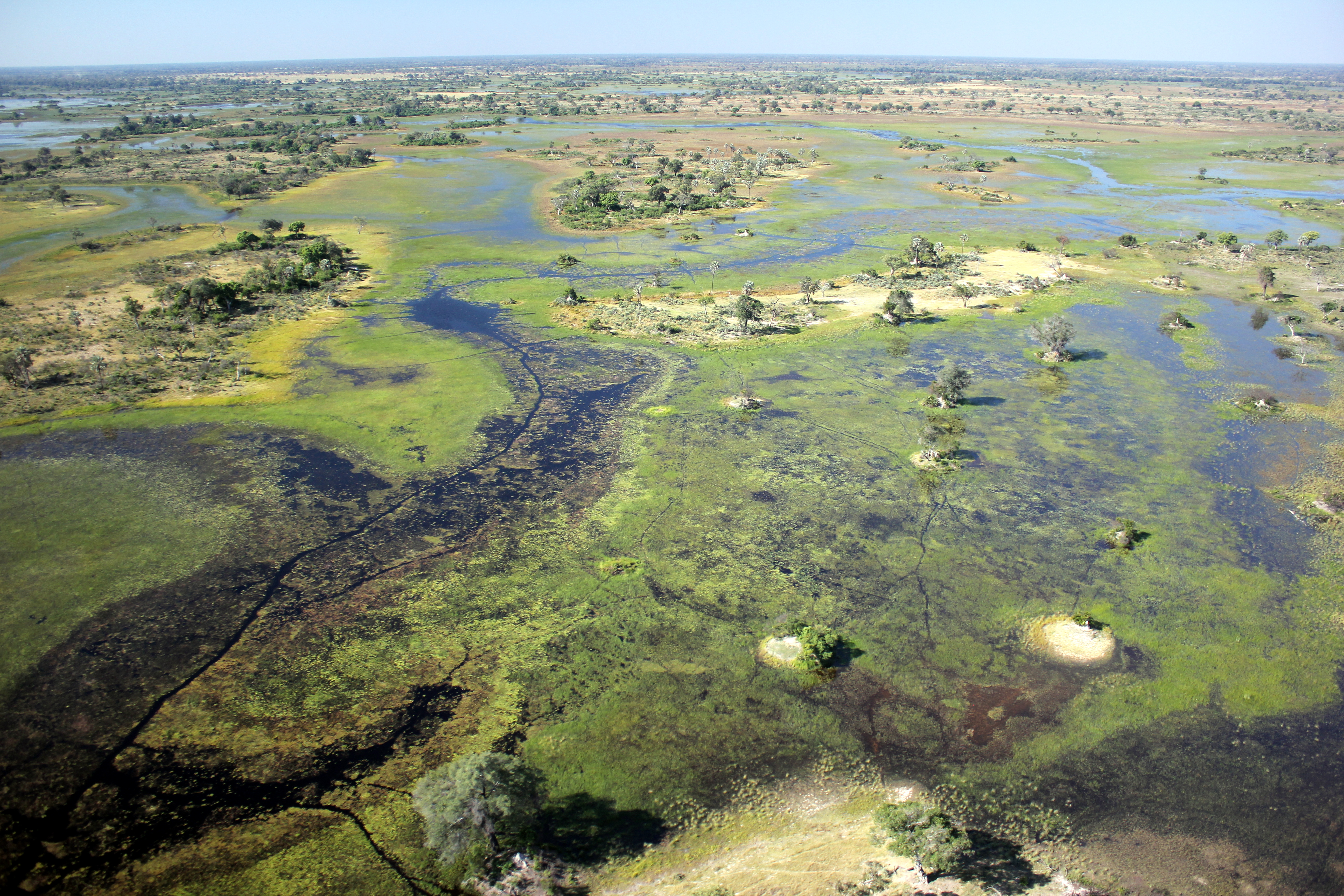 OKAVANGO WETLANDS, BOTSWANA. Wetland ecosystems are linchpins of landscape function and the water cycle. Photo: Richard Kingsford, UNSW