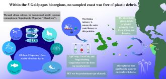 Graphical aspect of plastic pollution