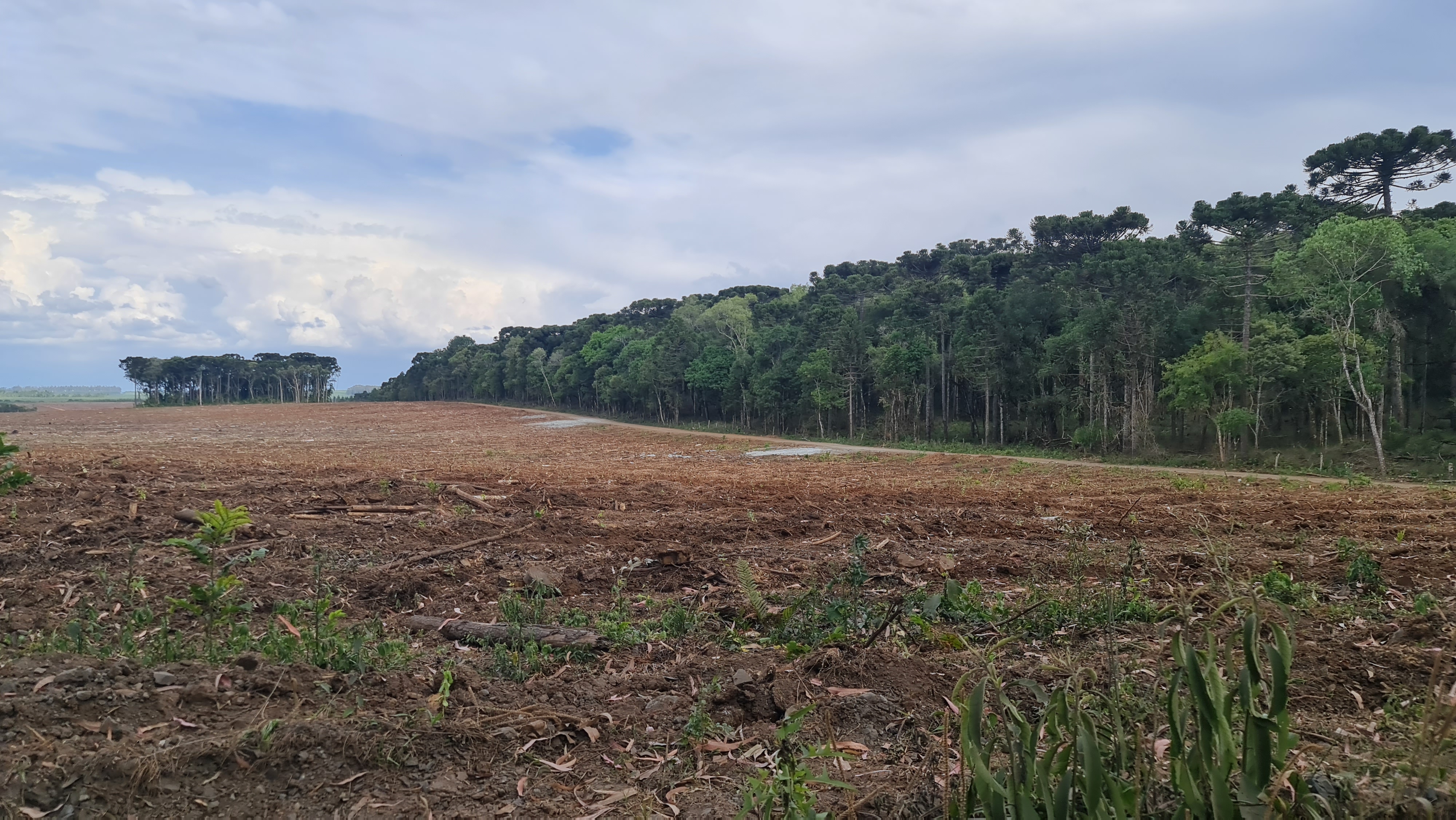 Três Barras, Brazil. Photo by Dr Brooke Williams.