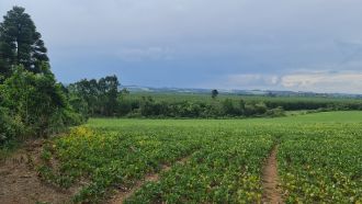 Três Barras, Brazil