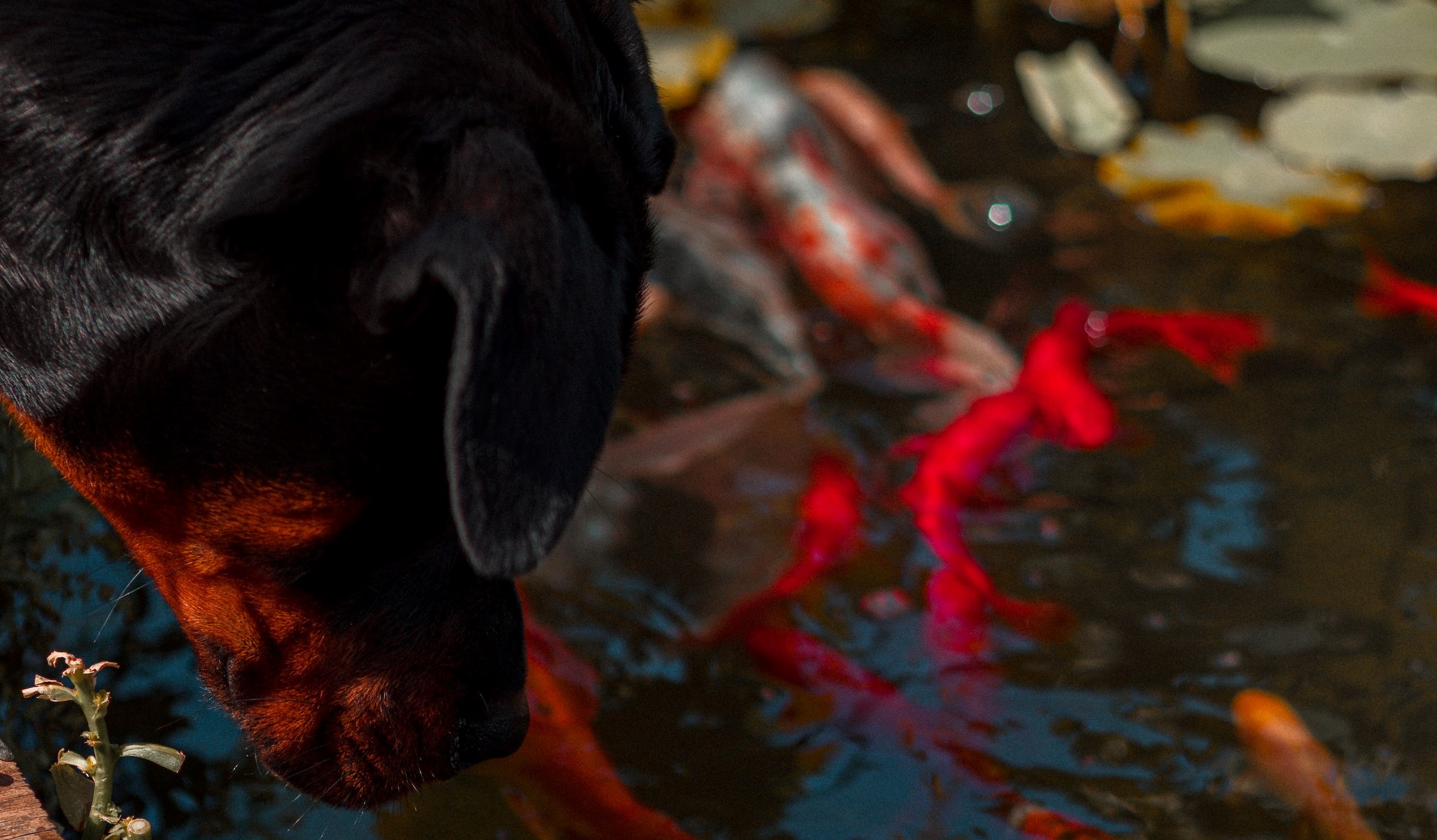 Valentin Lacoste on Unsplash