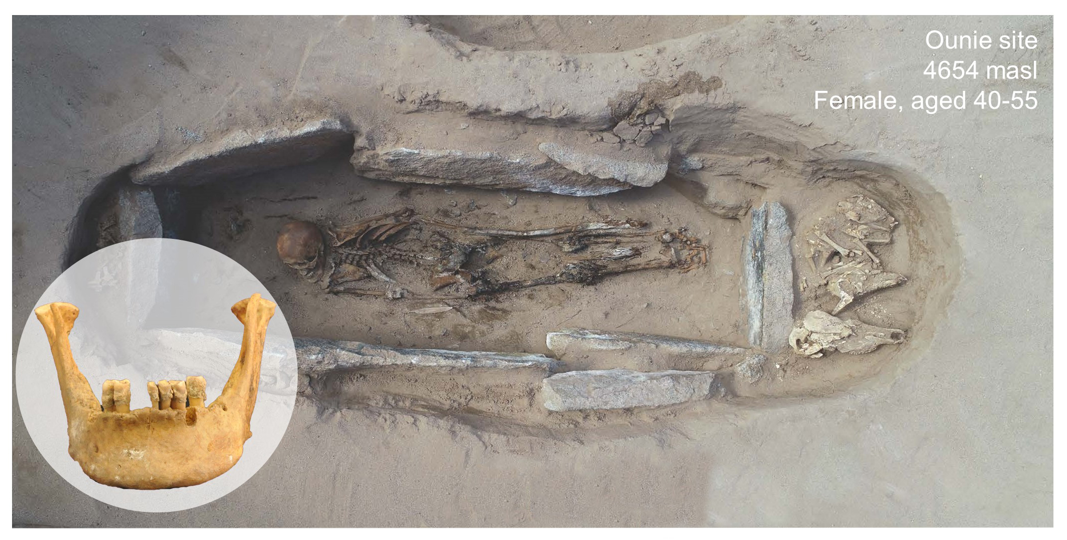 Remains of the highest altitude individual investigated in the study (cal. 601-758 CE) (Credit: Li Tang and Zujun Chen). 
