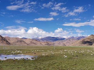 Modern pastures on the highland Tibetan Plateau