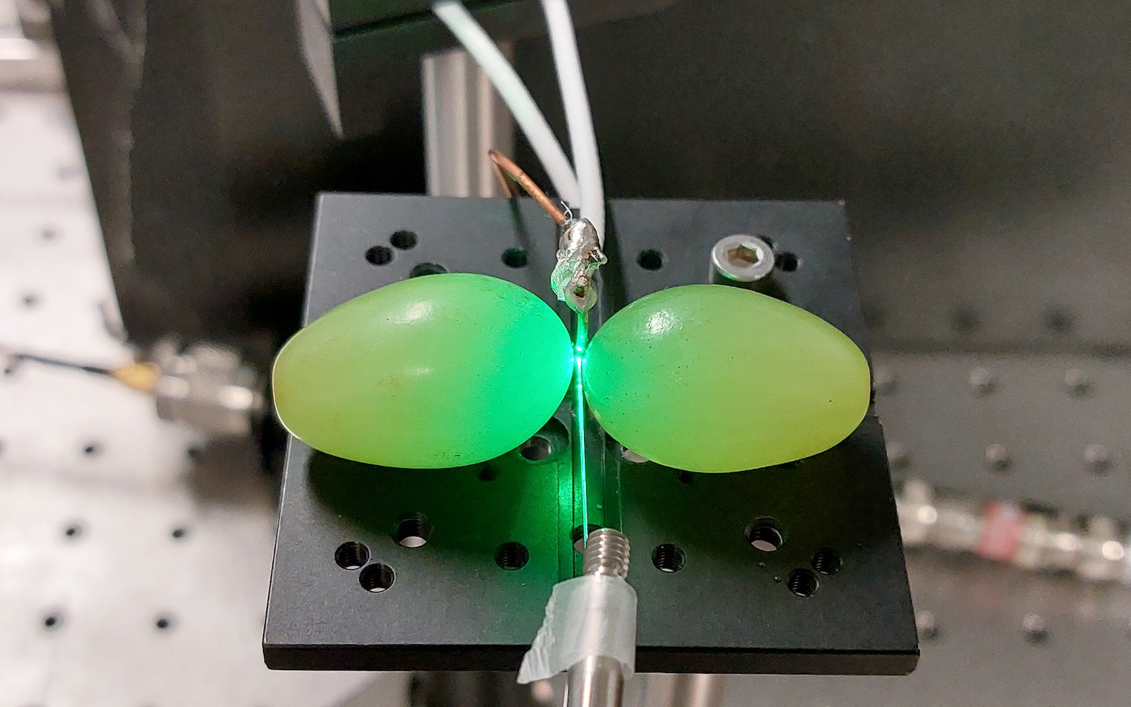 Photo of the experimental setup to couple MWs to N- 𝑉⁢s using grape dimers. A stripped optical fiber with N- 𝑉 spins, cantilevered from a rod, lies between two grapes. The grapes were positioned on a platform with a vertical straight copper wire, equidistant from each grape.
