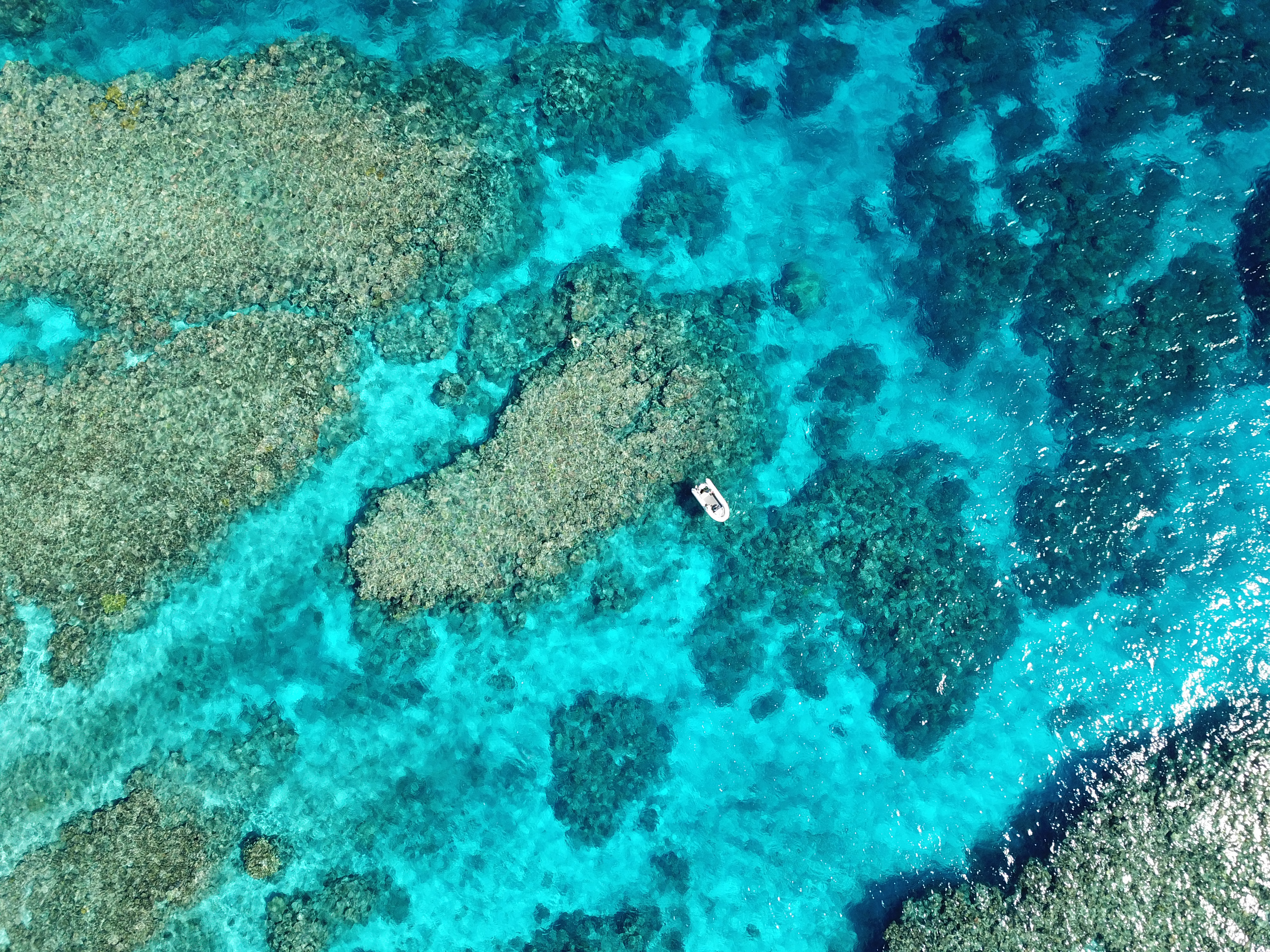 Copyright Commonwealth of Australia GBRMPA