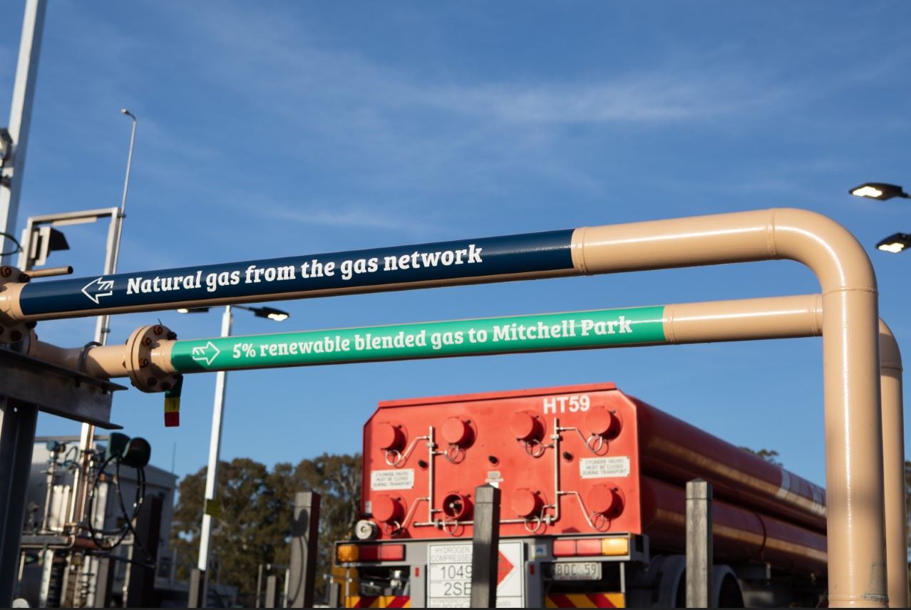 The Australian Gas Infrastructure Group (AGIG) at Tonsley operates a 1.25MW electrolyser using renewable electricity and supplies blended gas to more than 700 local households. Photo: courtesy AGIG.