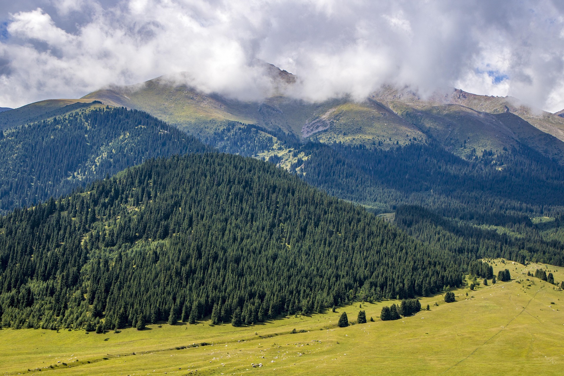  Photo courtesy Alexandr Chernyayev from Pixabay