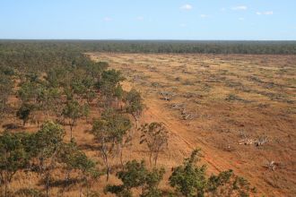 Aerial shot of deforestation in Daly River